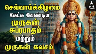 Tuesday Powerful Murugan Suprabatham And Muruga Kavasam  Murugan Bakthi Padalgal [upl. by Huang]