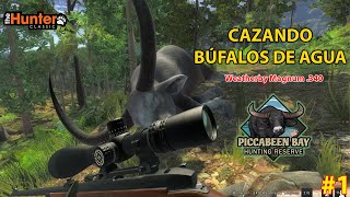 Cazando Búfalo de agua  The Hunter Classic 1 [upl. by Robbin]