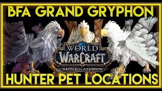 BFA  Grand GryphonFeathermane Hunter Pet Locations [upl. by Yreme789]