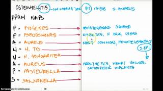 OSTEOMYELITIS  Easy Memorize Technique [upl. by Lally]