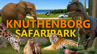 Knuthenborg  der beste Safaripark Europas  ZooEindruck [upl. by Le888]