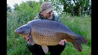 CARP fishing in the weed [upl. by Ardnasela]