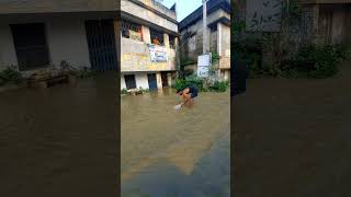 Catching fish in the flood water near the market viral fishing youtubeshorts [upl. by Vincenty]