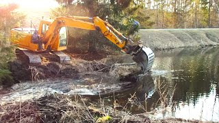 Huge Beaver Dam Taken Down By Excavator [upl. by Sirtimed]