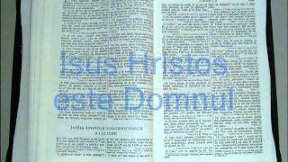 23  1  IOAN  Noul Testament  Biblia Audio Romana [upl. by Marshall]