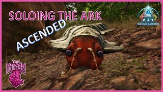 Taming Archaeopteryx and Arthropleura Soloing ARK Ascended Ep 52 [upl. by Sik720]