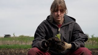 Community Based Work Study at Sharing Our Roots Farm  Carleton College [upl. by Trace]