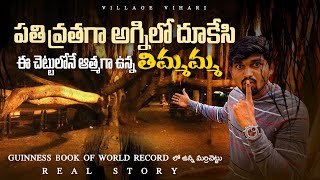 GUINESS RECORD WATCH WORLDS LARGEST BANYAN TREE  Timmamma Marrimanu Anantapur Historical Places [upl. by Ferino]