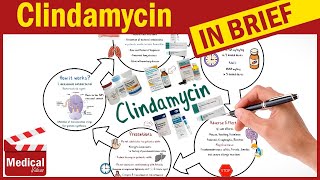 Clindamycin  Cleocin  What is Clindamycin Used For Dosage Side Effects amp Precautions [upl. by Asfah]