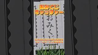 おみくじキャッチャーで2024年の運勢を占います！ クレーンゲーム おみくじ おみくじキャッチャー [upl. by Sialac]