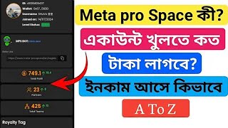 Meta pro Space কিভাবে একাউন্ট করব  How to account meta pro Space online income [upl. by Seavir]