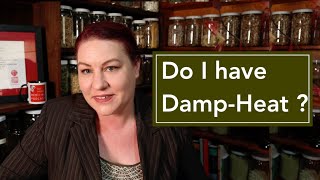 Damp Heat  what are the symptoms and Do I have it [upl. by Ettenal]