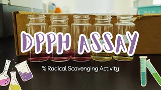 DPPH assay  Radical scavenging activity   Calculation and procedure for beginner [upl. by Alleunamme]