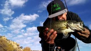 Last Session Of The Year On The Lil HookerArivaca Lake AZ [upl. by Lleral261]