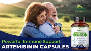 Zazzee Artemisinin Sweet Wormwood  Immune System Support Promotes Healthy Aging and Cell Repair [upl. by Gabriellia]