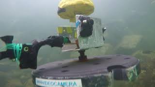 Benthic Excursion Module at Porteau Cove [upl. by Jamie]