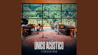 Não Há Outro Como Tu Acústico [upl. by Alfredo]