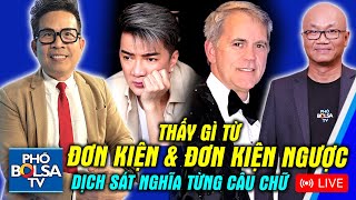 Dịch sát nghĩa từng câu chữ đơn kiện của ĐVH và kiện ngược của tỷ phú Mỹ Lột trần nhiều góc khuất [upl. by Etiuqal]