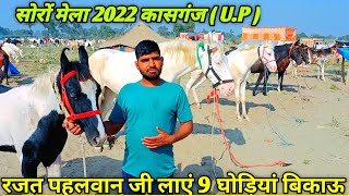 रजत पहलवान जी लाएं 9 घोड़ियां वाजिब दाम की बिकाऊ।।soro horse Mela 2022।। [upl. by Ahsietal213]