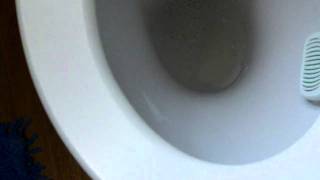 close coupled barrhead toilet [upl. by Coffeng]