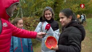 Un Paseo por Salamanca  Programa 36  Jornada Micológica en Linares de Riofrío [upl. by Bozuwa635]