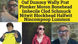 🔵Vivid Nouns Idiot  Oaf Dummy Wally Prat Plonker Moron Imbecile Clod Nitwit Halfwit Lummox Meaning [upl. by Eem]