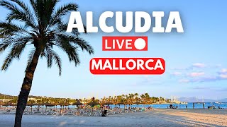 🔴LIVE in Alcudia Mallorca Majorca  11 August 2024 [upl. by Aierbma]