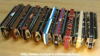 custom harmonicas Andy Larisch [upl. by Rehportsirhc]