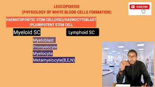 HAEMATOLOGY  LEUKOPOIESIS  WHITE BLOOD CELLS FORMATION [upl. by Stronski]