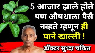 ही 2 पाने खाणारा आयुष्यभर निरोगी राहीलHealth tips Boost Your Wellness amp Energyआरोग्य [upl. by Faydra]