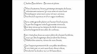 Baudelaire Charles  BRUMES ET PLUIES  Ô fins dautomne hivers printemps trempés de boue [upl. by Simdars]