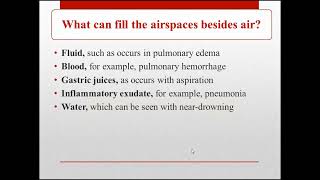 Lecture 4  Airspace vs interstitial lung diseases [upl. by Armat333]