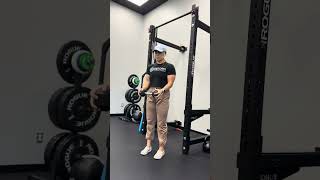 Biceps Curl  Single Dumbbell Eccentric [upl. by Lynna773]