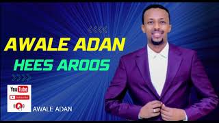 Awale Adan official aroos song [upl. by Lyford]