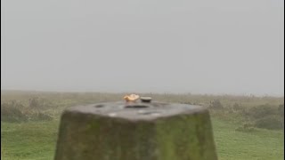 Unbelievable 360 views from Beacon Hill Trig Point on the Quantock Hills 🤣 short [upl. by Aihsekal]