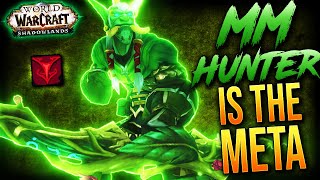 MM HUNTER Shadowlands BETA OVERVIEW [upl. by Mannie]