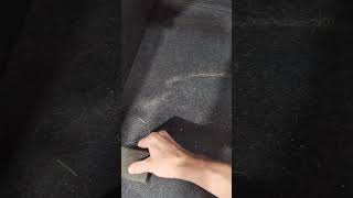 How to remove dog hair out of car [upl. by Joycelin730]