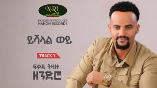 Fikadu Tizazu  ይሻላል ወይ  Yeshalal Wey Track 03 Officail Audio [upl. by Dellora]