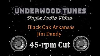 Black Oak Arkansas  Jim Dandy mono promo 45  1973  Single Audio Video [upl. by Alathia]