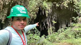 Parque Nacional de las Cavernas del Río Camuy [upl. by Halfon]