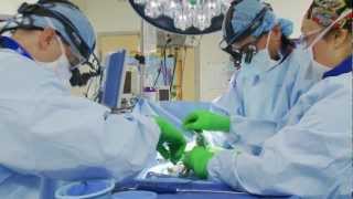 Minimally Invasive Spine Surgery [upl. by Oitaroh]