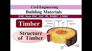 Structure of Timber  Timber  Building Materials [upl. by Montano]