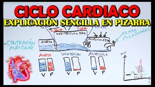 CICLO CARDÍACO FÁCIL EXPLICACIÓN  Fisiología 101 [upl. by Eleph782]