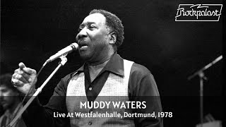 Muddy Waters  Live At Rockpalast 1978 Full Concert Video [upl. by Einre933]