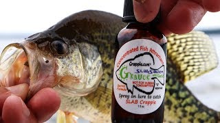 Does GARLIC scent actually catch Crappie So Stinky Ep4 30 day Challenge [upl. by Susanna]