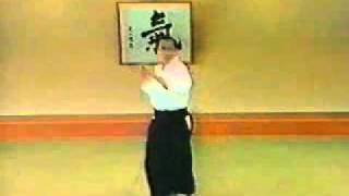 Ki Aikido  Taigi 27 [upl. by Sitarski]