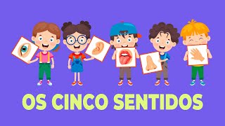 Os cinco sentidos educação infantil [upl. by Buerger]