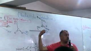 13 Pyrimidine Synthesis [upl. by Jaf]