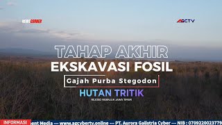 HARI AKHIR EKSKAVASI  FOSIL STEGODON DIKUBUR KEMBALI [upl. by Eifos]