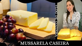 🧀QUEIJO MUSSARELA ENGANA VISITA  RECEITA CASEIRA QUE DERRETE🔥  FEITO EM CASA [upl. by Muldon948]